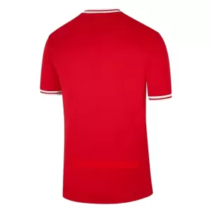 Camisolas Polônia Equipamento Alternativo Mundial 2022