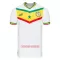Camisolas Senegal Equipamento Principal Mundial 2022