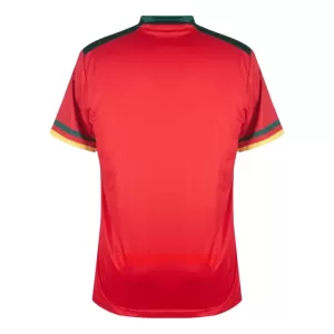 Camisolas Camarões Equipamento Terceiro Mundial 2022