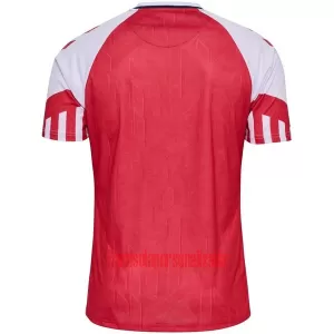 Camisolas Dinamarca Equipamento Principal 2023