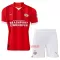 Camisolas PSV Eindhoven Criança Equipamento Principal 23/24