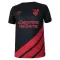 Camisolas Athletico Paranaense Equipamento Terceiro 23/24