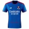 Camisolas Olympique Lyonnais Equipamento Alternativo 23/24