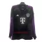 Camisolas FC Bayern de Munique Equipamento Alternativo 23/24 Manga Comprida