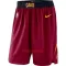 Calções NBA Cleveland Cavaliers Icon Edition Swingman