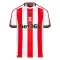 Camisolas Stoke City Equipamento Principal 24/25