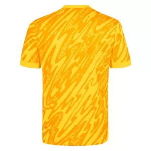 Camisolas Guarda Redes Tottenham Hotspur 24/25 Amarelo