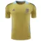 Camisolas Argentina Pre-Match 2024 Amarelo