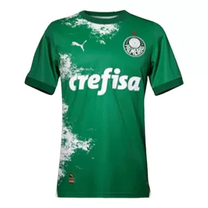Camisolas Palmeiras 2024 Verde Especial Camisolas Palmeiras 2024 Verde Especial