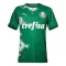 Camisolas Palmeiras 2024 Verde Especial
