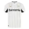 Camisolas Bayer 04 Leverkusen Equipamento Alternativo 24/25