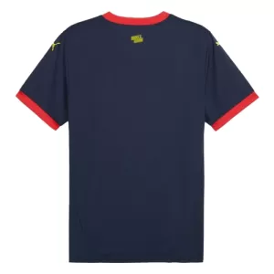 Camisolas Girona Equipamento Alternativo 24/25