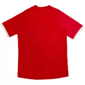 Camisolas Inglaterra 2010 Equipamento Alternativo Retro