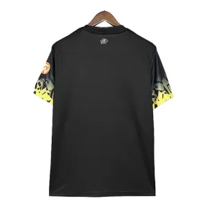 Camisolas Aston Villa 24/25 Dragon Especial