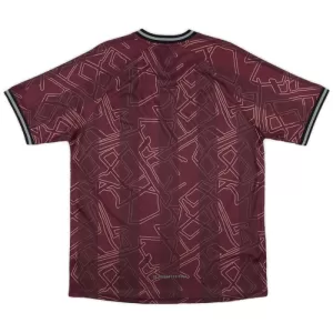 Camisolas Dinamarca 24/25 Especial