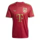 Camisolas FC Bayern de Munique Aniversário 24/25