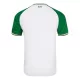 Camisolas Irlanda Equipamento Terceiro 24/25