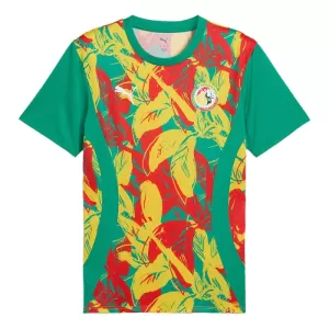 Camisolas Senegal Pre-Match 24/25