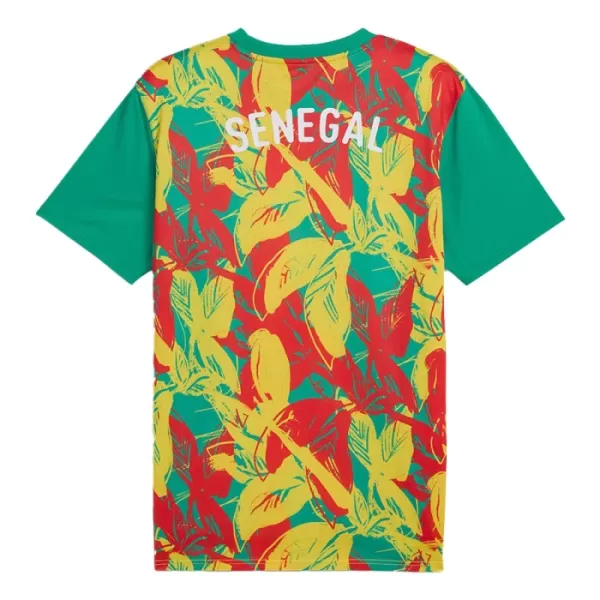Camisolas Senegal Pre-Match 24/25