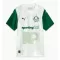 Camisolas Palmeiras Equipamento Alternativo 25/26
