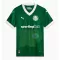 Camisolas Palmeiras Equipamento Principal 25/26