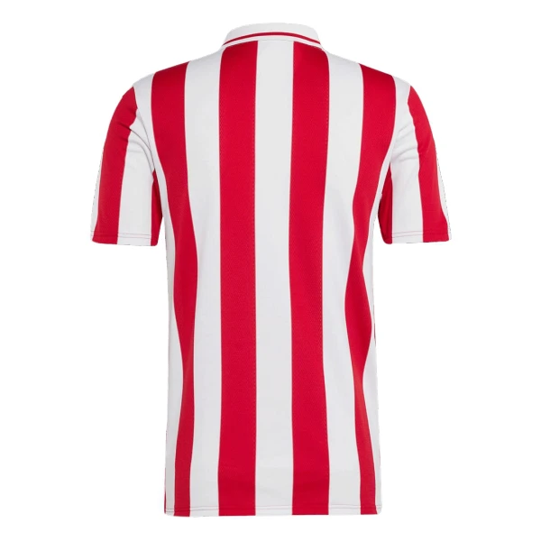 Camisolas Olympiakos 100th Aniversário 24/25