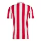 Camisolas Olympiakos 100th Aniversário 24/25