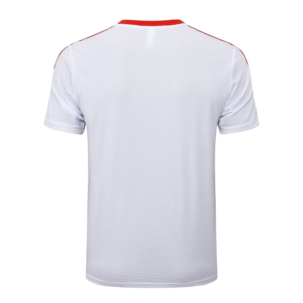 Camisolas FC Bayern de Munique Aniversário 24/25