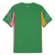 Camisolas Guarda Redes Manchester City 25/26 Verde