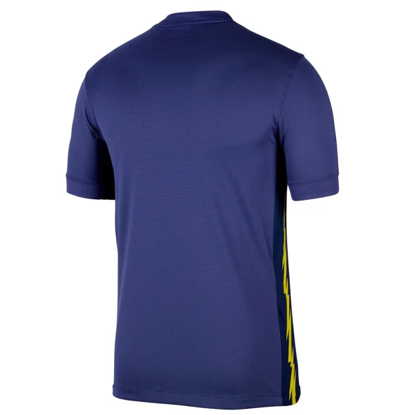 Camisolas Atlético Madrid Equipamento Alternativo 25/26