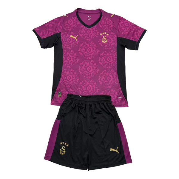 Camisolas Galatasaray SK Criança Equipamento Terceiro 25/26