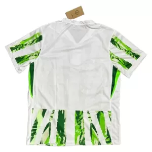 Camisolas Nigéria Equipamento Alternativo 25/26