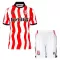 Camisolas Stoke City Criança Equipamento Principal 25/26