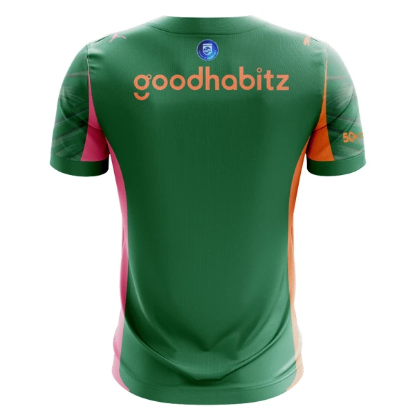 Camisolas Guarda Redes PSV Eindhoven 25/26 Verde