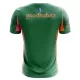 Camisolas Guarda Redes PSV Eindhoven 25/26 Verde