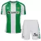 Camisolas Real Betis Criança Equipamento Principal 25/26