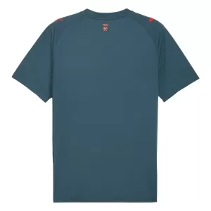 Camisolas Shakhtar Donetsk Equipamento Alternativo 25/26