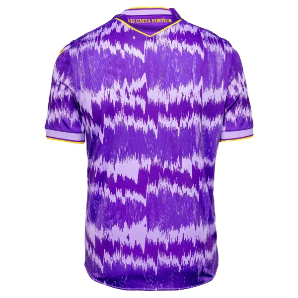 Camisolas Stoke City Equipamento Alternativo 25/26