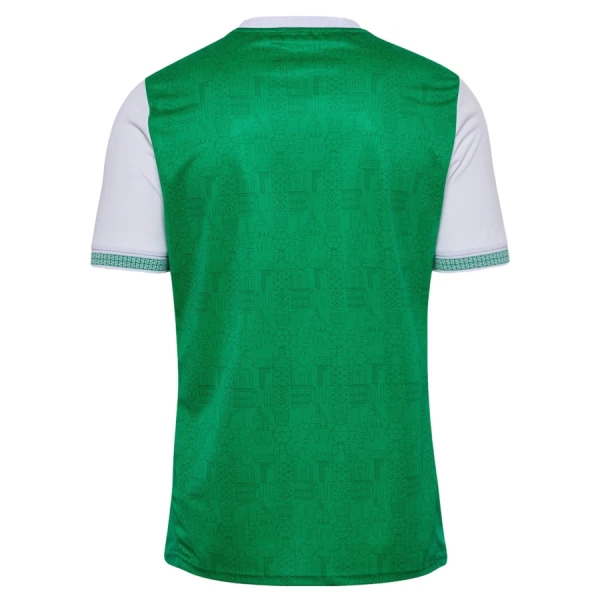 Camisolas AS Saint-Étienne Equipamento Principal 25/26