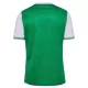 Camisolas AS Saint-Étienne Equipamento Principal 25/26