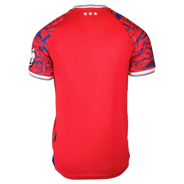 Camisolas Ipswich Town Equipamento Alternativo 25/26