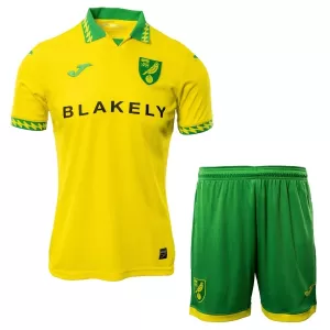 Camisolas Norwich City Criança Equipamento Principal 25/26