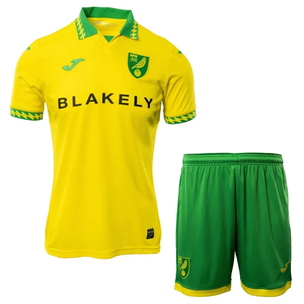 Camisolas Norwich City Criança Equipamento Principal 25/26 Camisolas Norwich City Criança Equipamento Principal 25/26