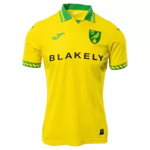 Camisolas Norwich City Equipamento Principal 25/26