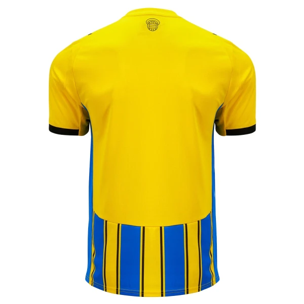 Camisolas Southampton Equipamento Alternativo 25/26