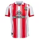 Camisolas Southampton Equipamento Principal 25/26 Camisolas Southampton Equipamento Principal 25/26