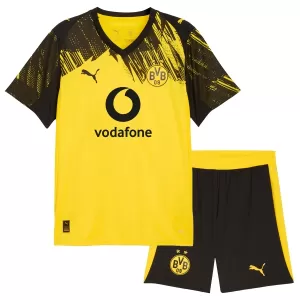 Camisolas Borussia Dortmund Mats Hummels 15 Criança Equipamento Principal 25/26 Especial