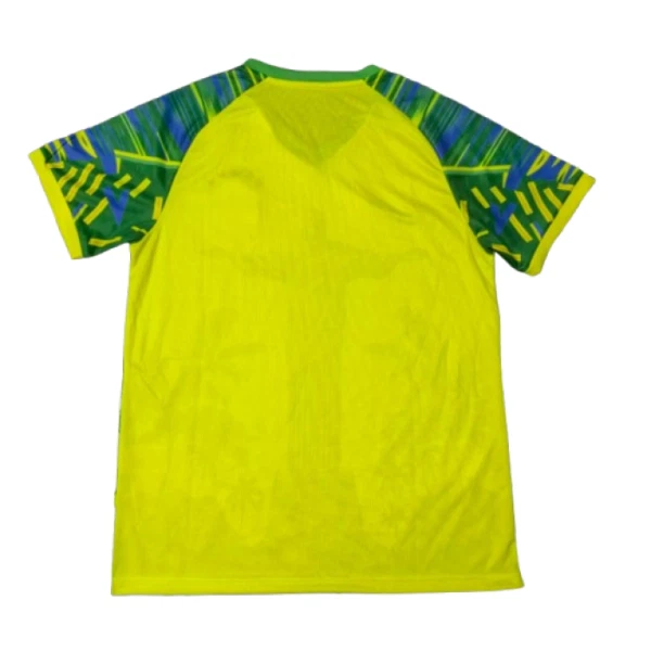 Camisolas Brasil 2025 Verde Especial