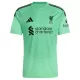 Camisolas Guarda Redes Liverpool Alisson Becker 1 25/26 Verde