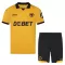 Camisolas Wolverhampton Wanderers Criança Equipamento Principal 25/26